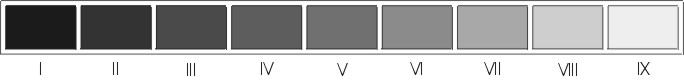 zone2 Zone System Chart